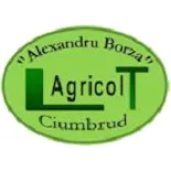 Liceul Tehnologic Agricol „Alexandru Borza”, Ciumbrud