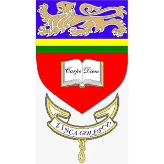 Colegiul Național „Zinca Golescu”, Pitești