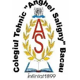 Liceul Tehnologic „Anghel Saligny”, Bacău