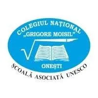 Colegiul Național „Grigore Moisil”, Onești