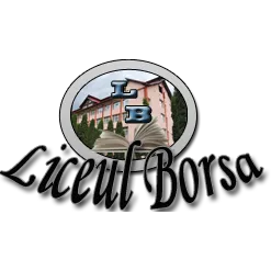 Liceul Borșa