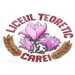 Liceul Teoretic Carei