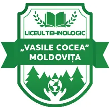 Liceul Tehnologic „Vasile Cocea”, Moldovița