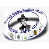 Colegiul Național „Calistrat Hogaș”, Localitatea Tecuci