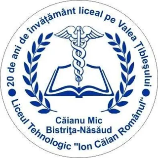 Liceul Tehnologic „Ion Căian Romanul”, Căianu Mic